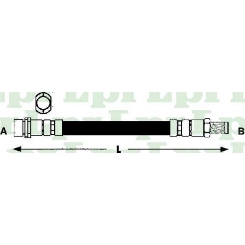 ΣΩΛ.ΦΡΕΝ.ΟΠ.FOCUS 00-01